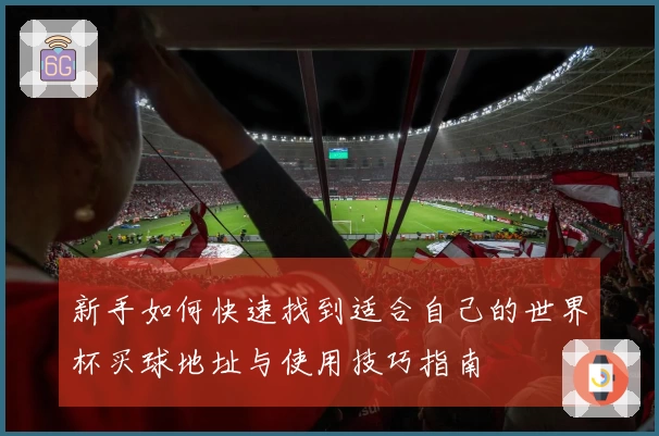 新手如何快速找到适合自己的世界杯买球地址与使用技巧指南