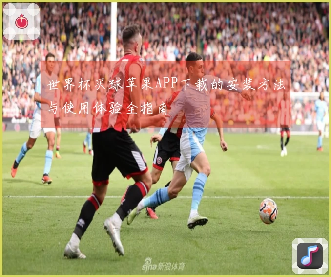 世界杯买球苹果APP下载的安装方法与使用体验全指南