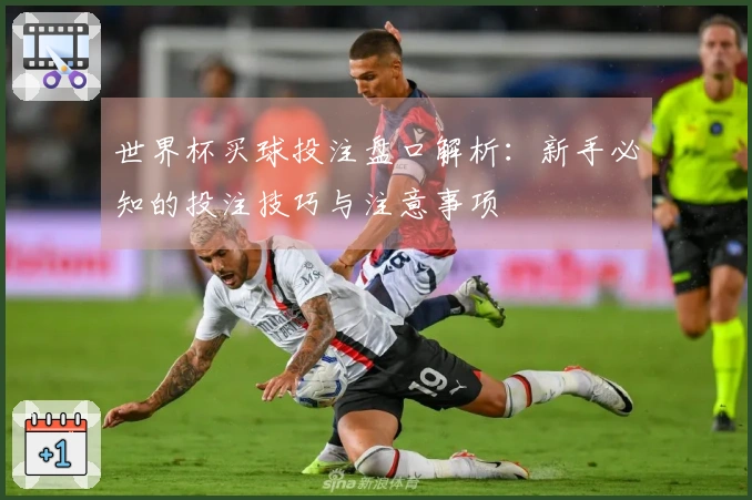 世界杯买球投注盘口解析:新手必知的投注技巧与注意事项