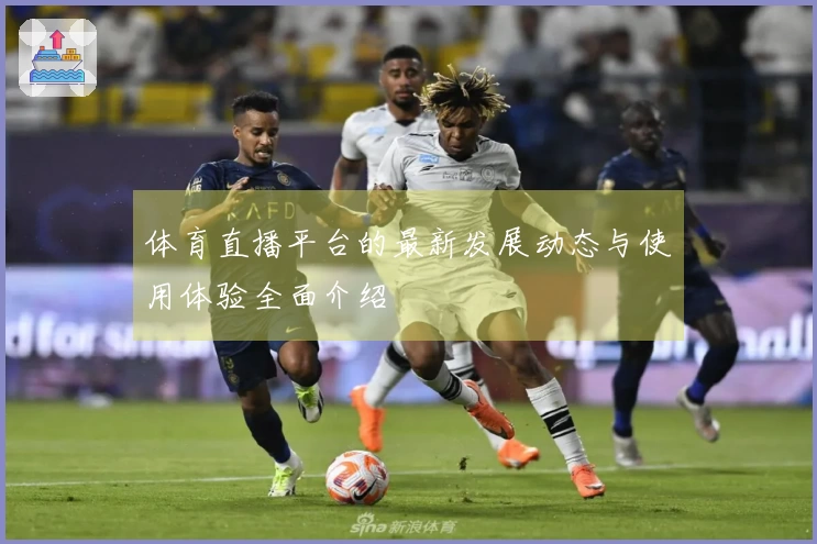 体育直播平台的最新发展动态与使用体验全面介绍