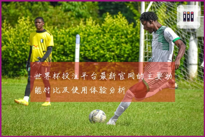 世界杯投注平台最新官网的主要功能对比及使用体验分析