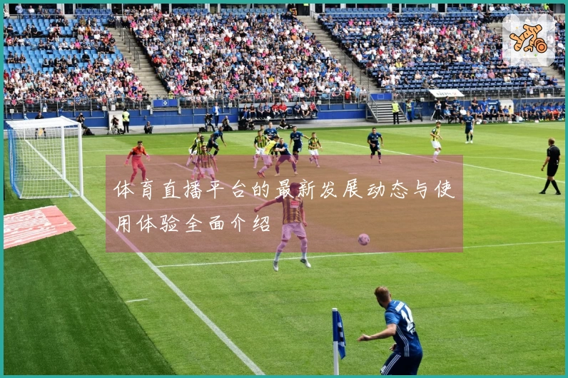 体育直播平台的最新发展动态与使用体验全面介绍