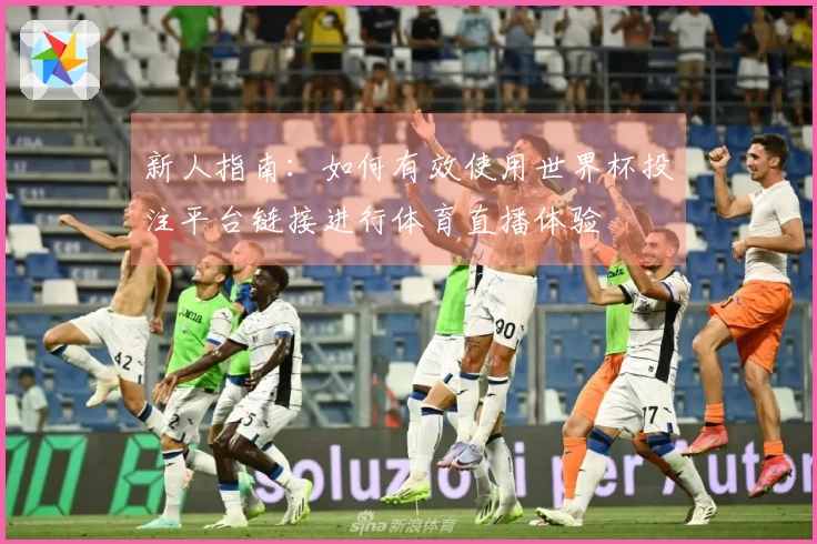 新人指南：如何有效使用世界杯投注平台链接进行体育直播体验