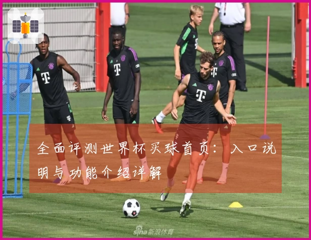 全面评测世界杯买球首页：入口说明与功能介绍详解