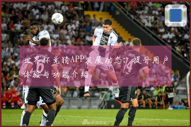 世界杯竞猜APP发展动态：提升用户体验与功能介绍