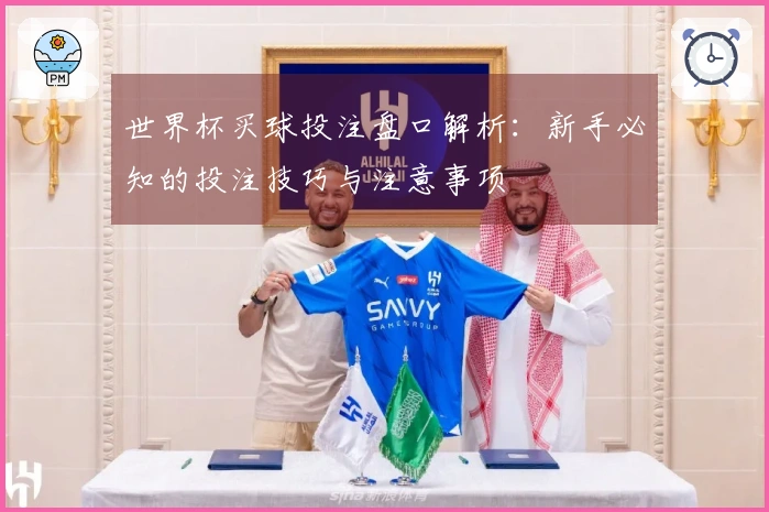 世界杯买球投注盘口解析：新手必知的投注技巧与注意事项