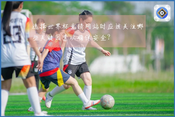 选择世界杯竞猜网站时应该关注哪些关键因素以确保安全？