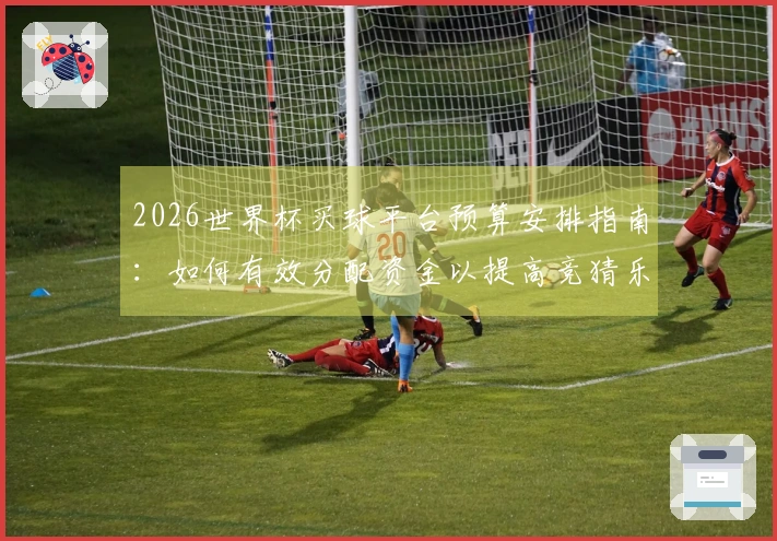 2026世界杯买球平台预算安排指南:如何有效分配资金以提高竞猜乐趣?