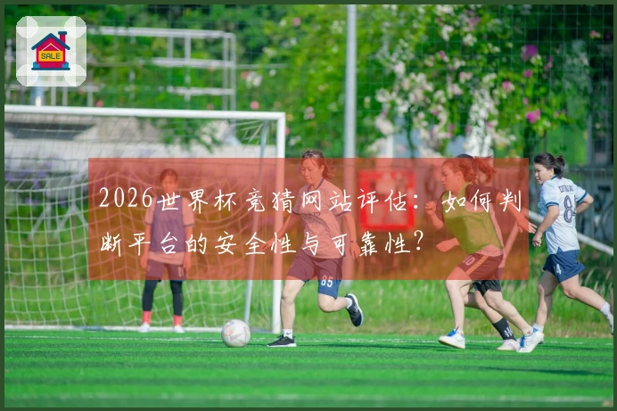 2026世界杯竞猜网站评估：如何判断平台的安全性与可靠性？