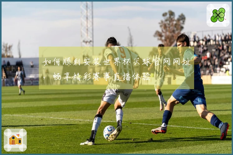 如何顺利安装世界杯买球官网网址，畅享精彩赛事直播体验