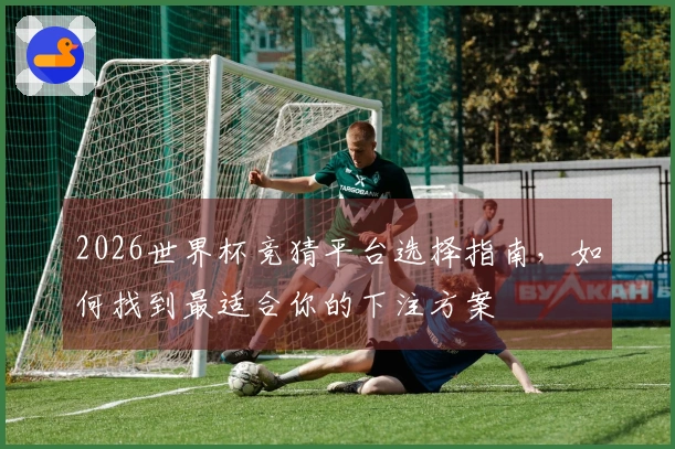 2026世界杯竞猜平台选择指南，如何找到最适合你的下注方案